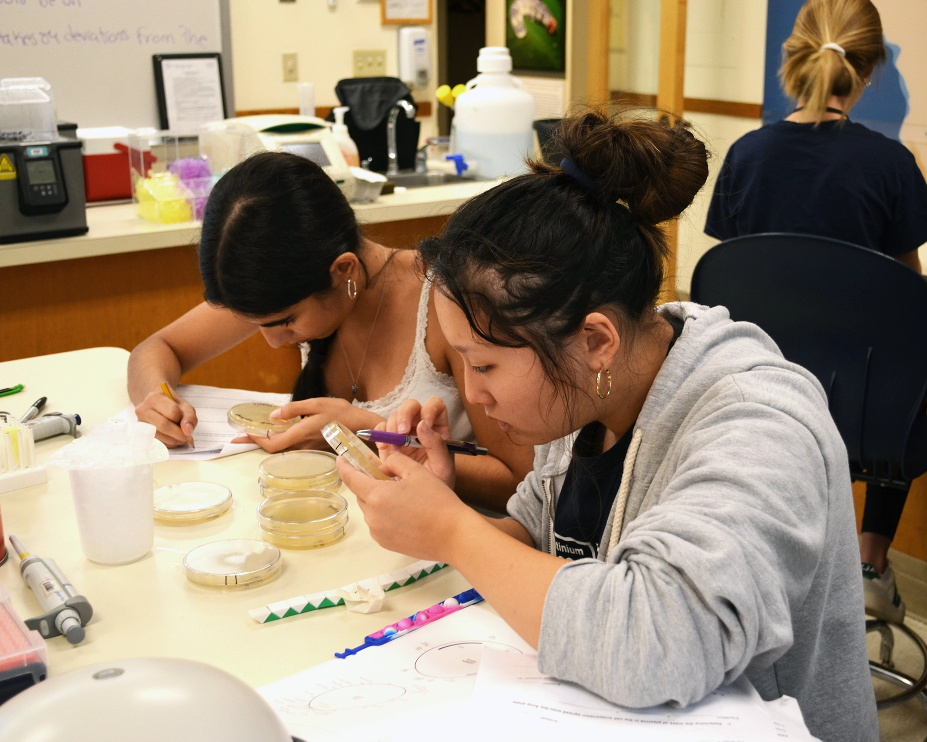 dna-science-summer-camp-7